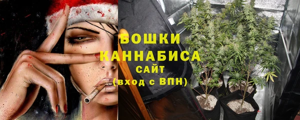 мдма Новодвинск